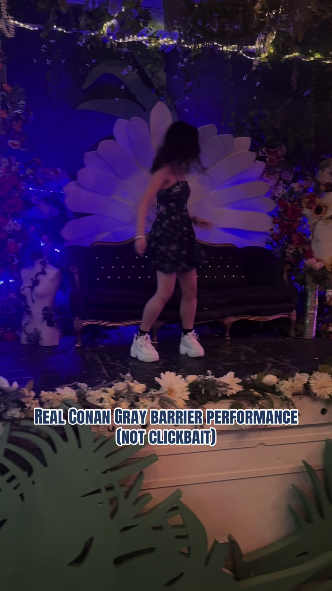 @✿˚⋆ 🪭 ⋆˚✿