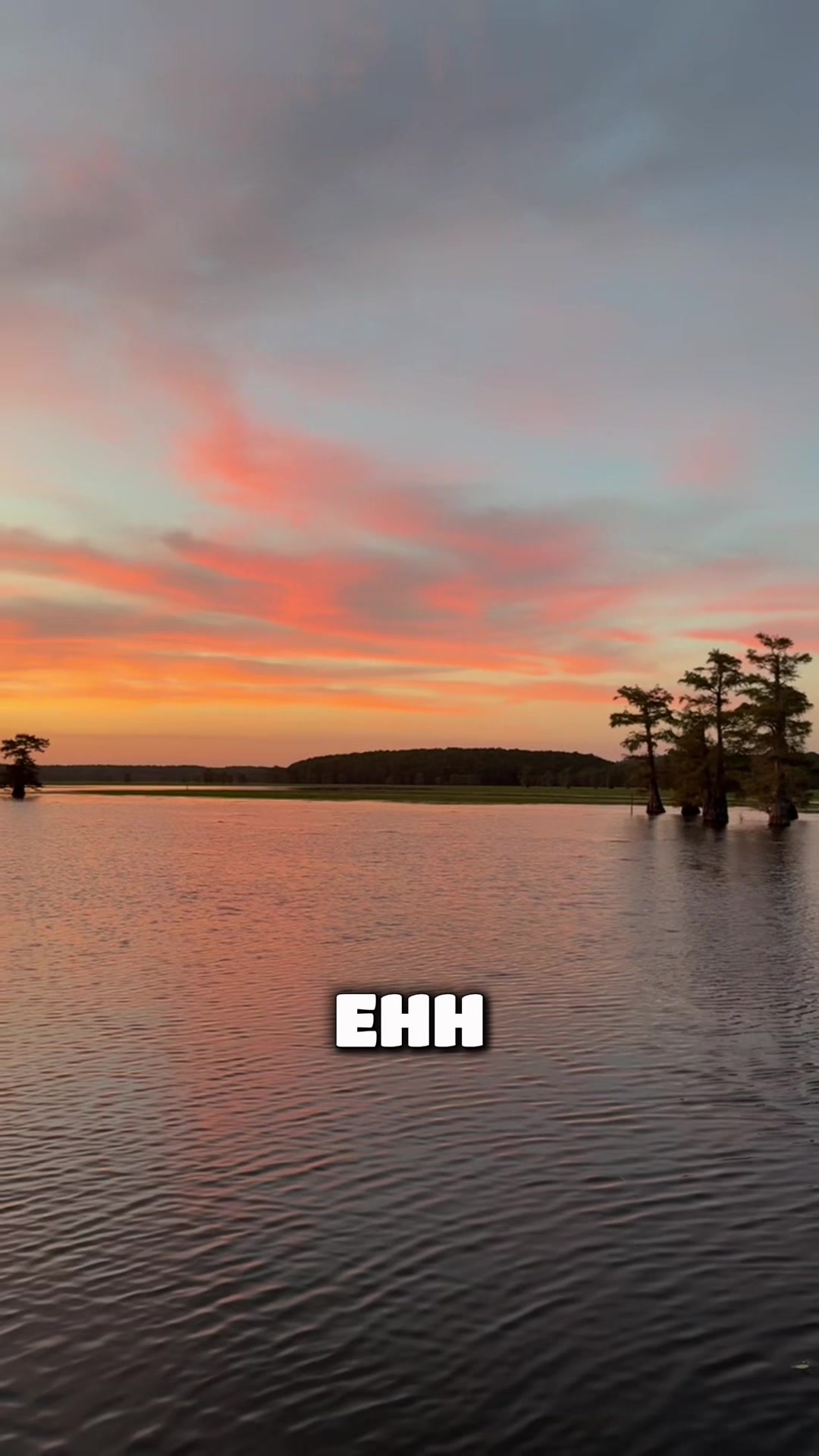 @Caddo Lake FirstCastCabin