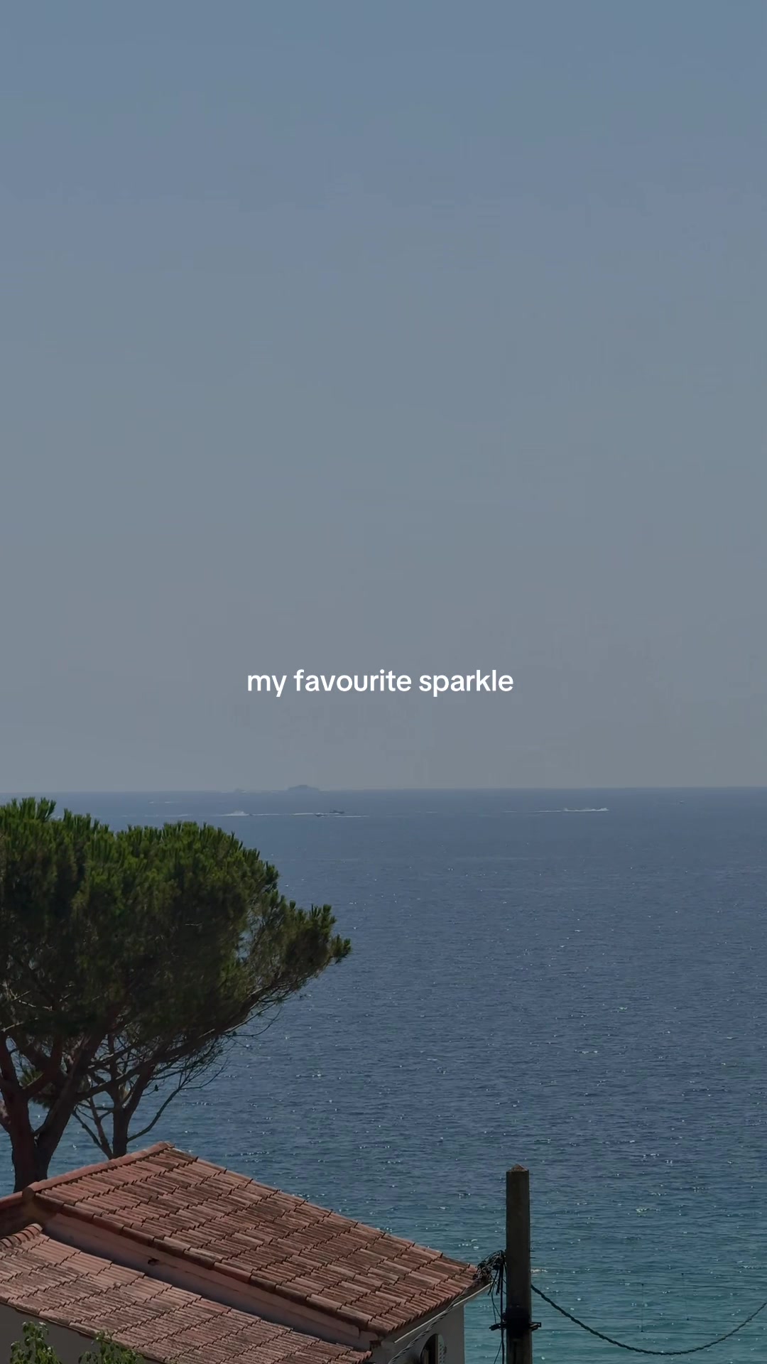 @YARA 🌟