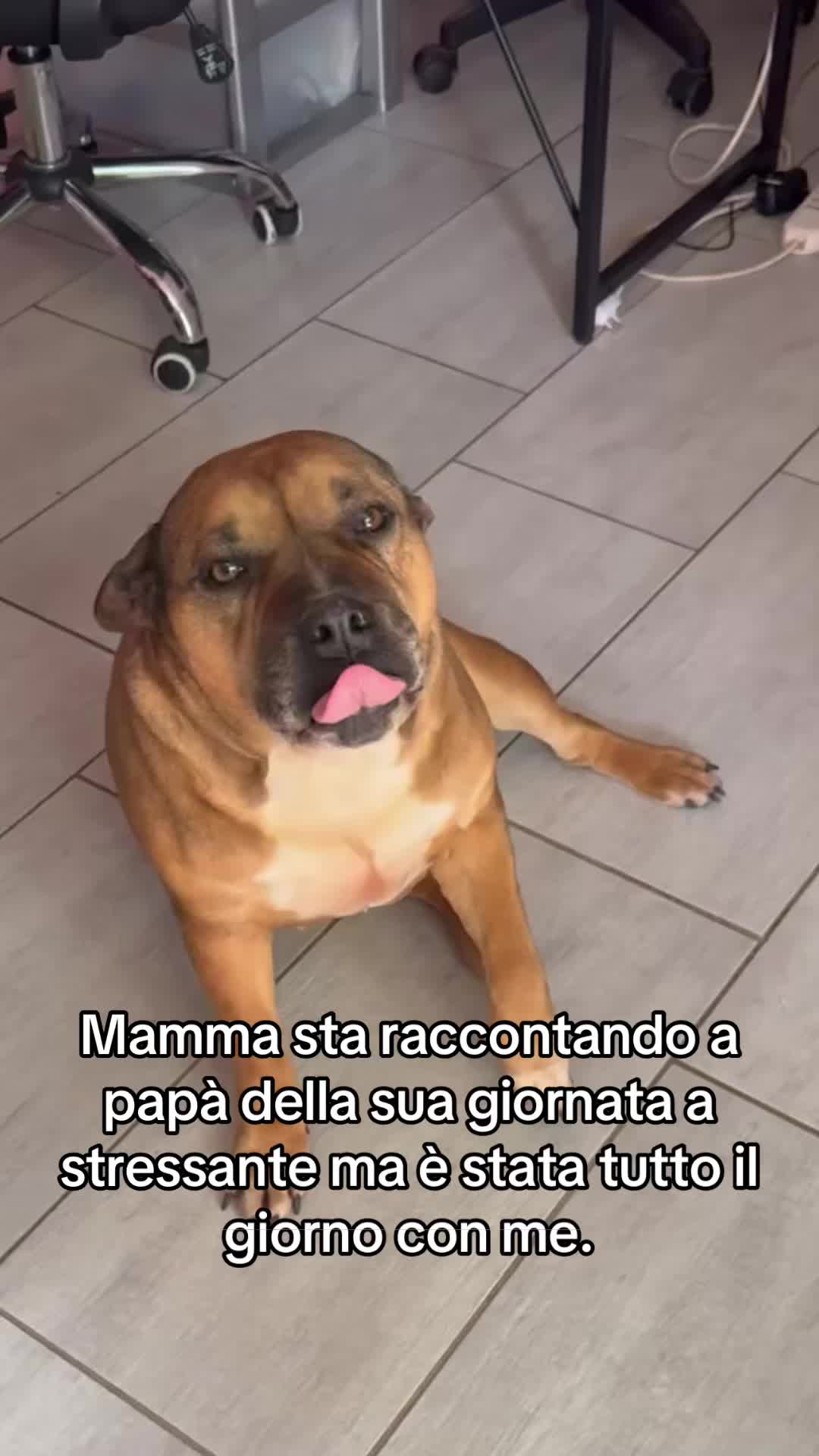 @💎Emanuela80🐾💎