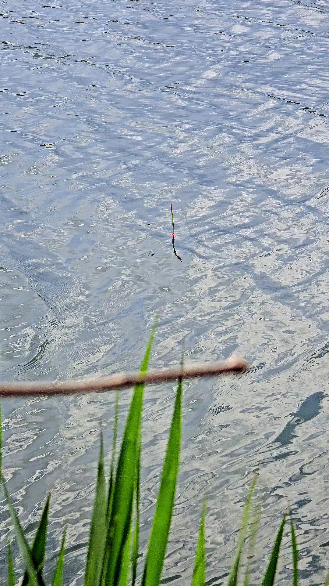 @Серега