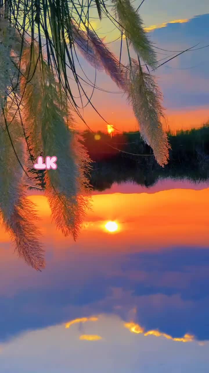 @❤️ TK ❤️