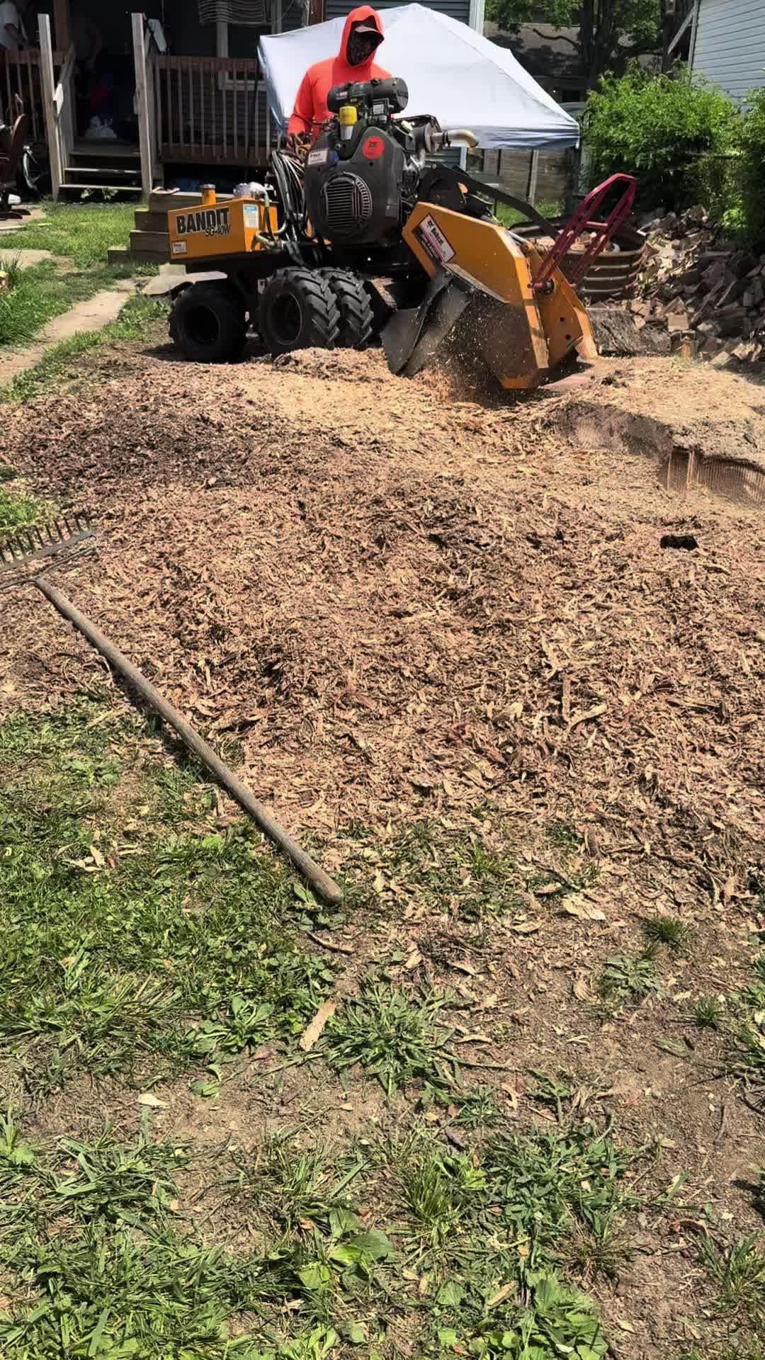 @G&O tree servicess