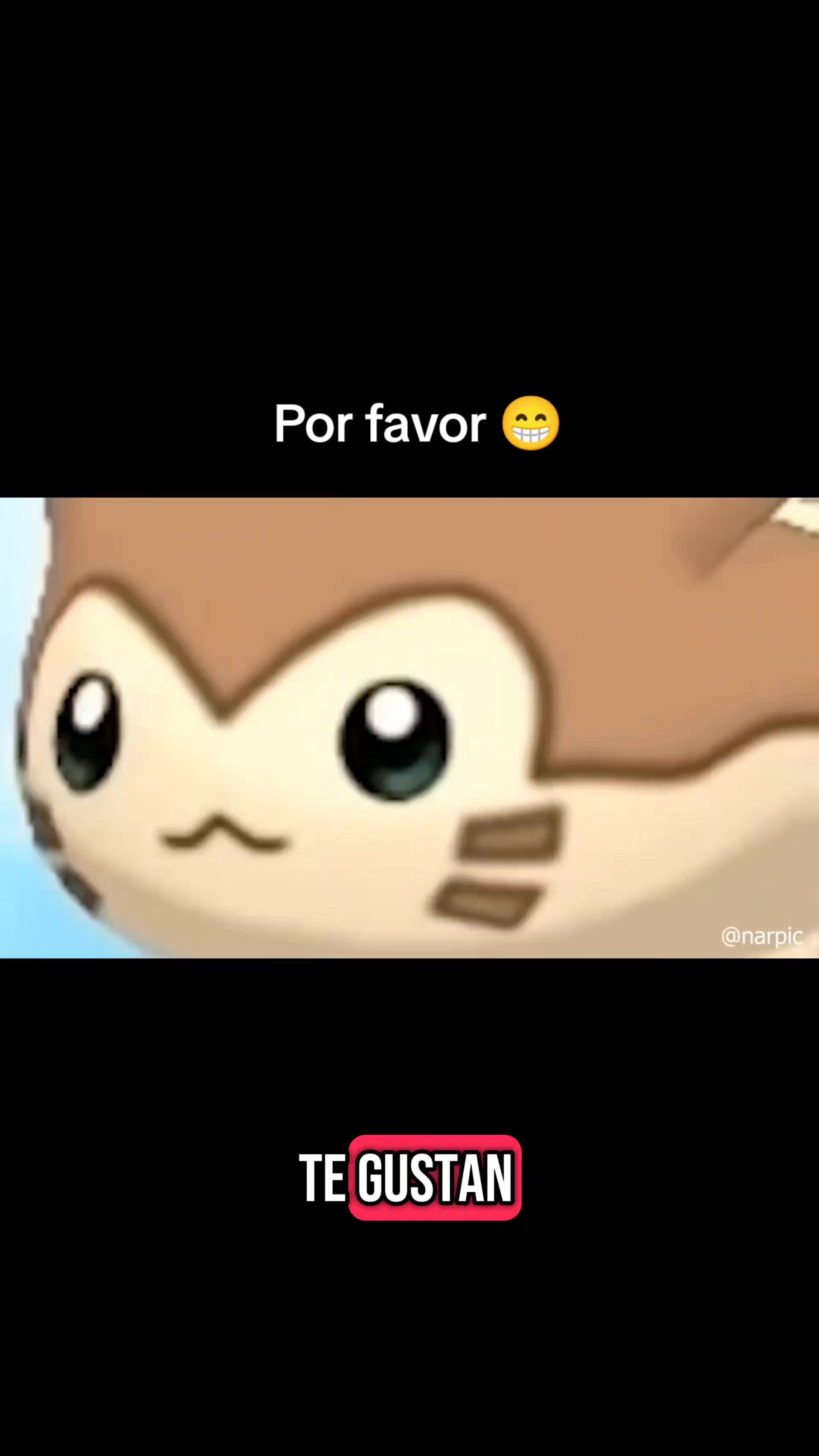 @Xavi_Hashibira