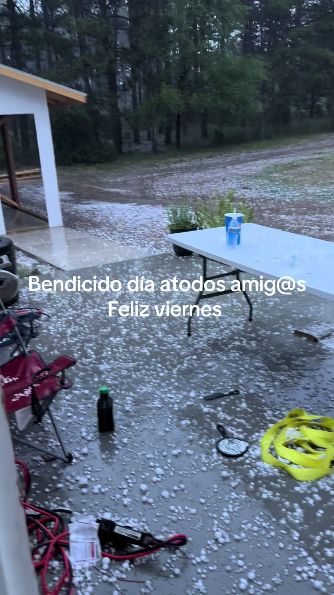@El🙏xoyito🙏502