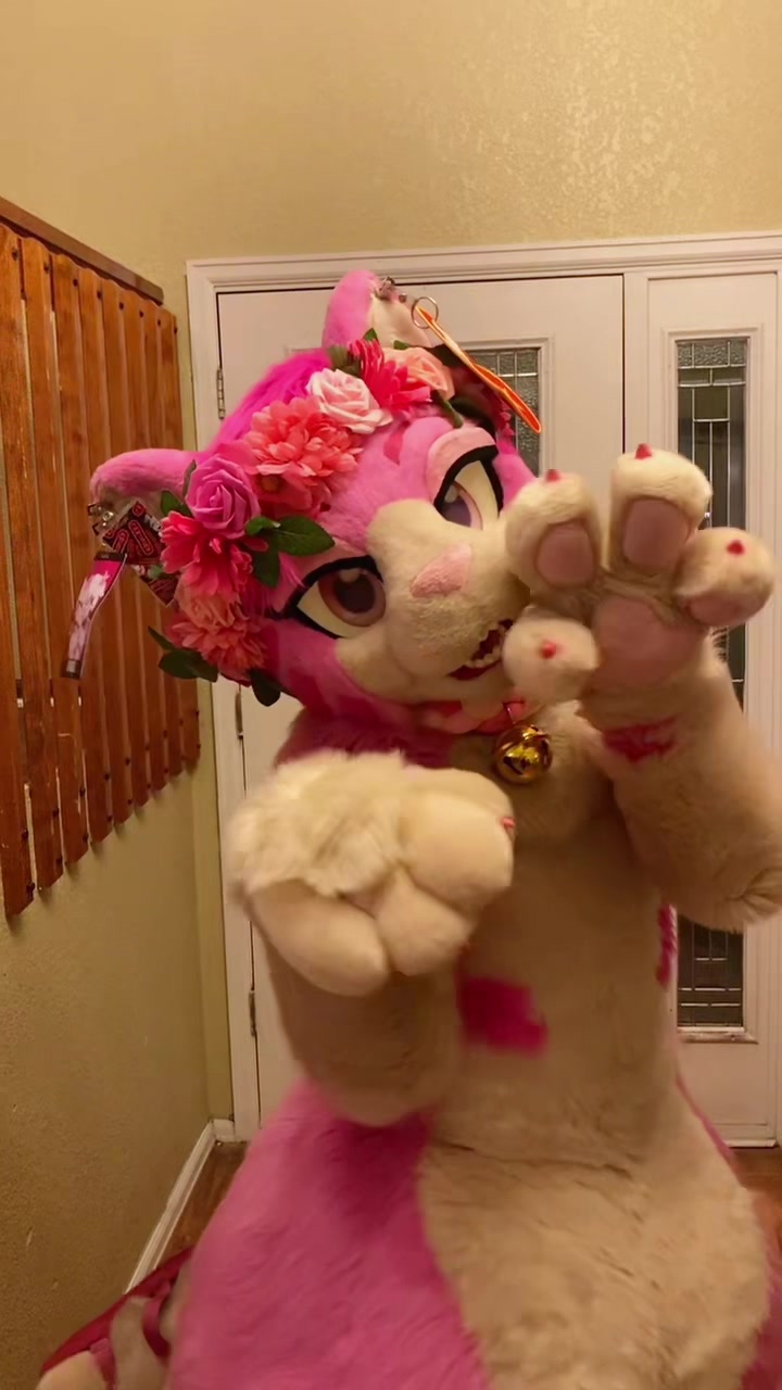@AGayPinkCat