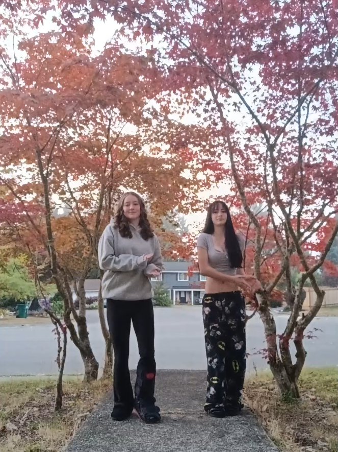 @Karisma