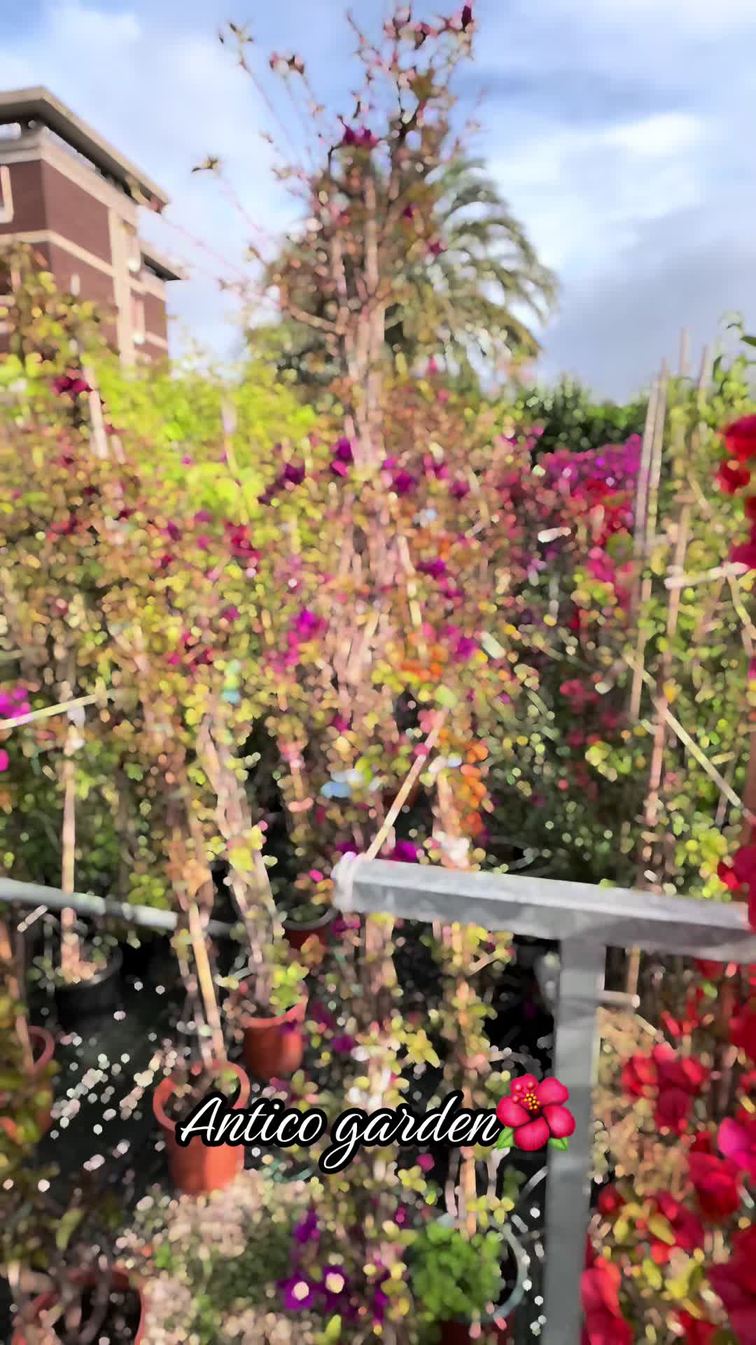 @vivaioanticogarden