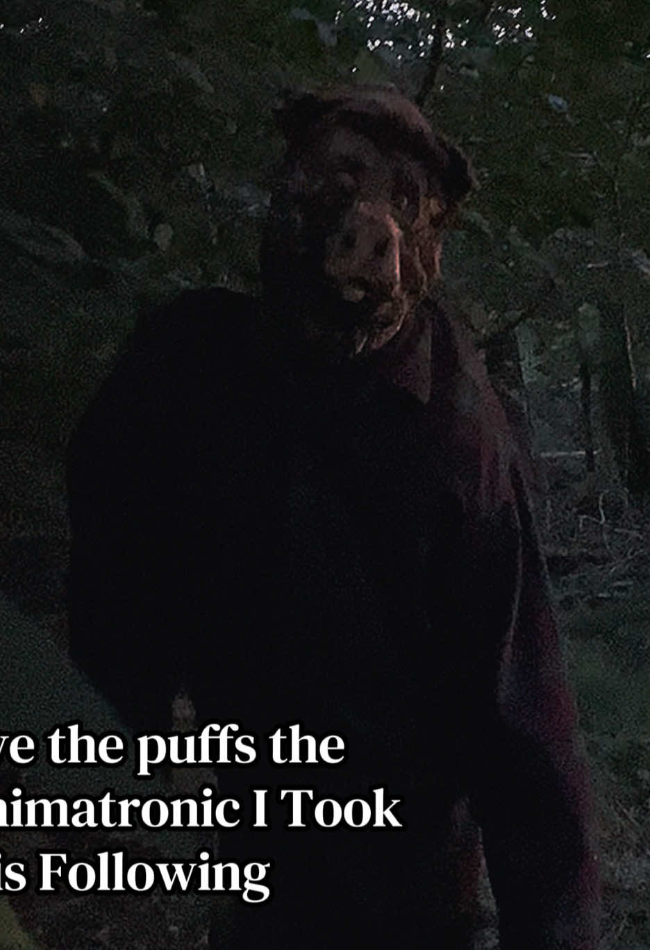 @𝐅𝐨𝐠𝐠𝐲
