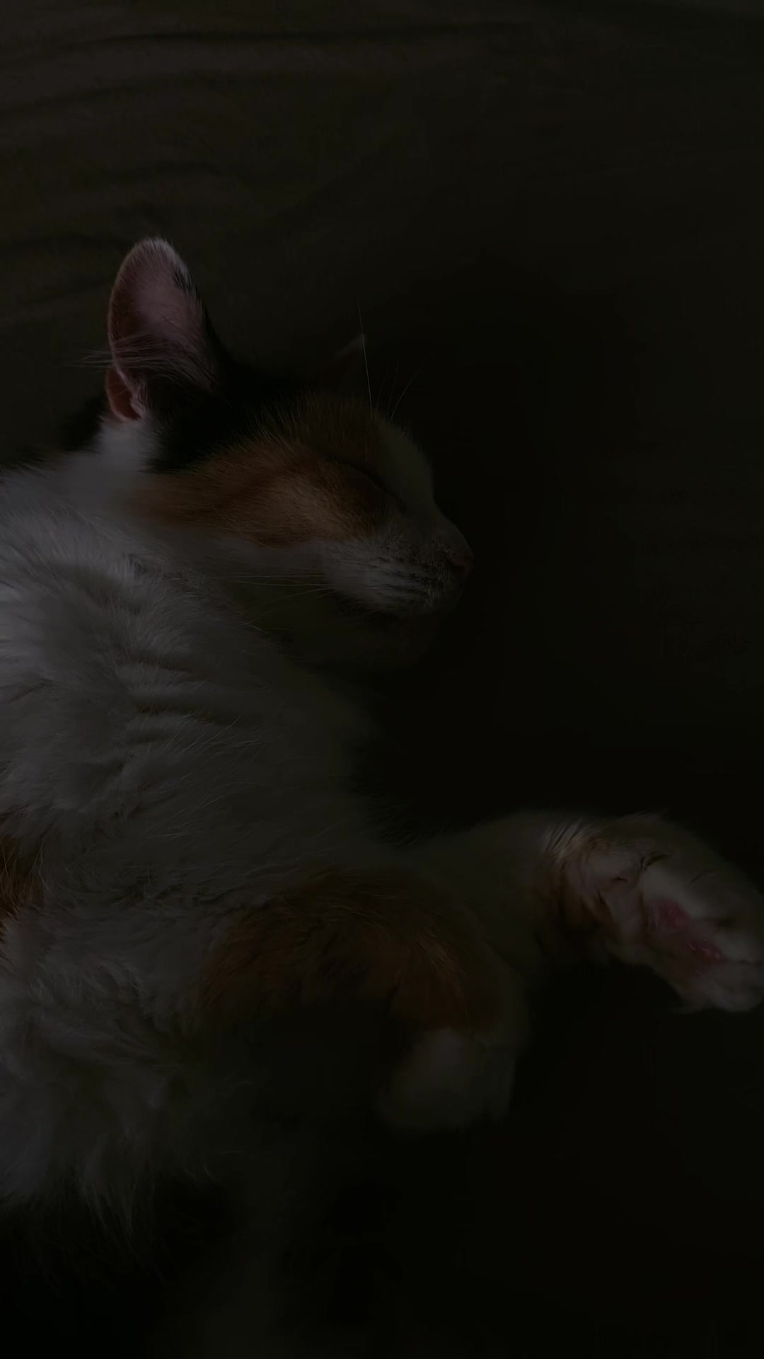 @๐๐ ๐ฎ ๐ฅ ๐ข ๐ง ๐แถป ๐ ๐ฐ .แ