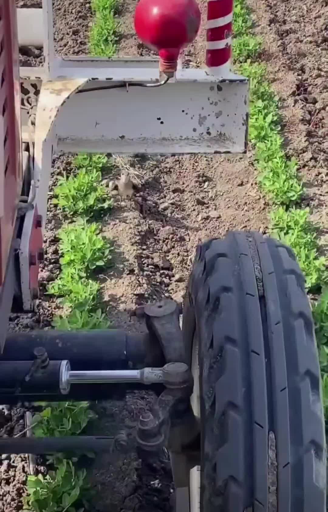 @Canu🤠