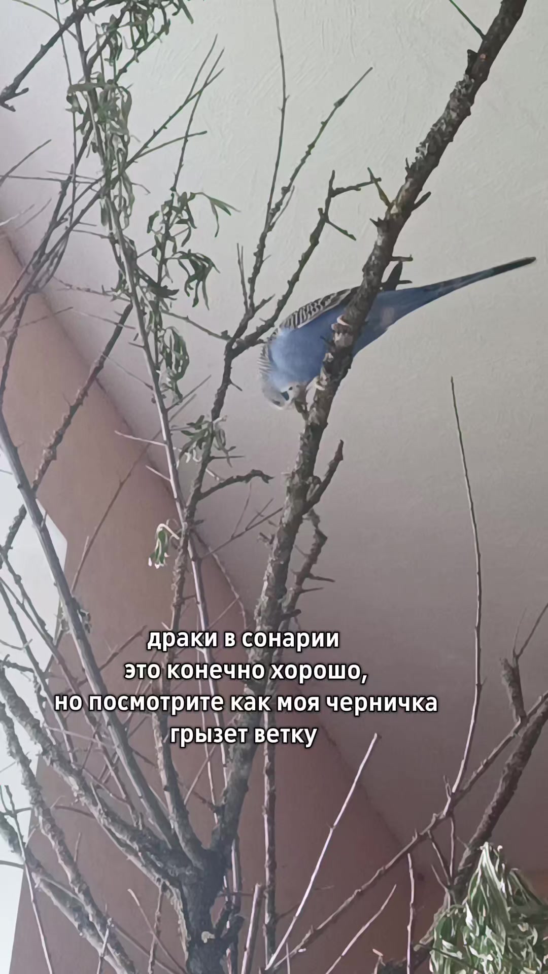 @mmeftik