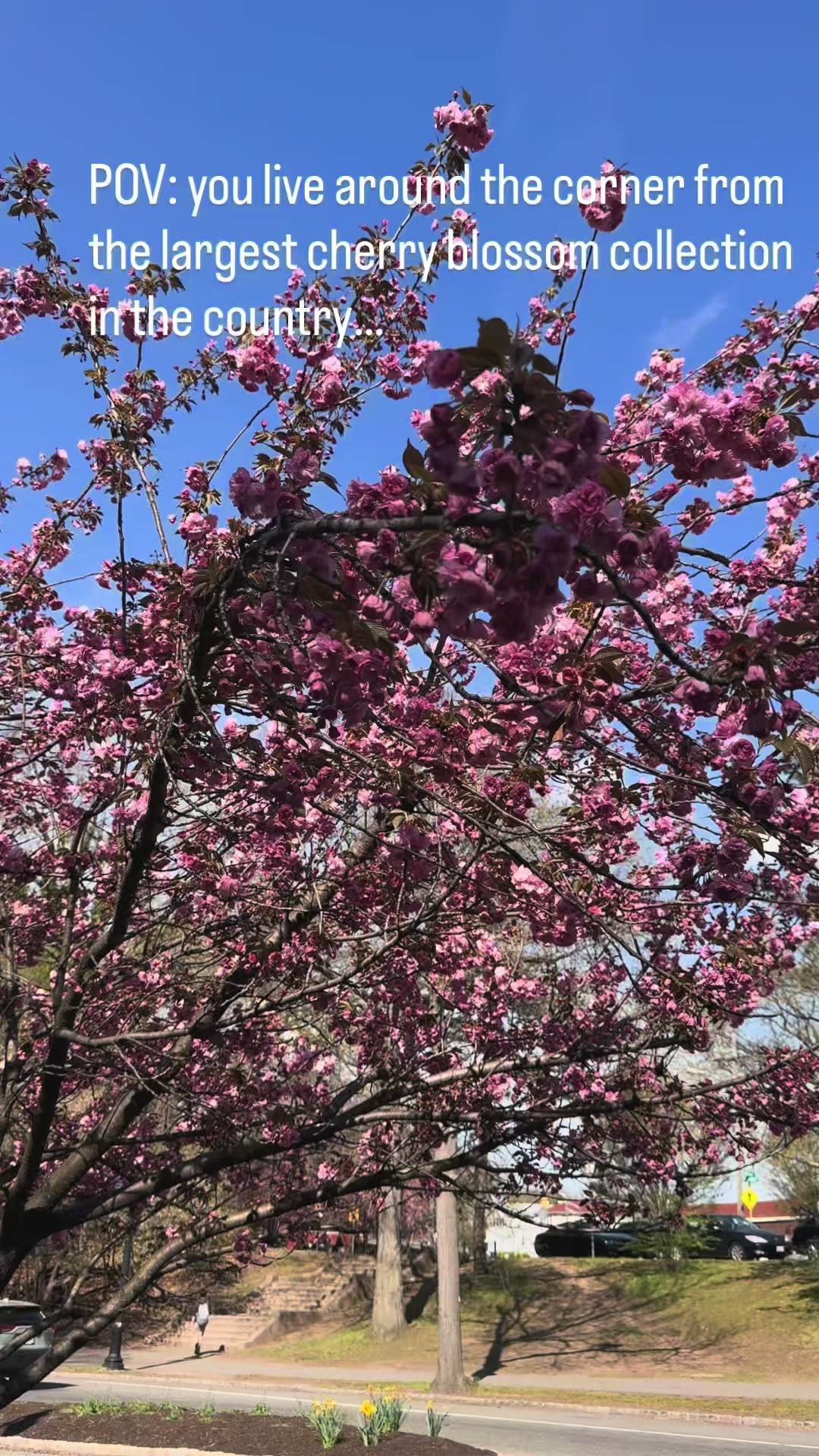 @Tammy 🇭🇹