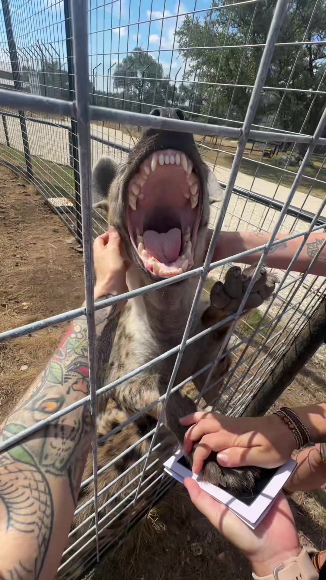 @Texas Wildlife Park