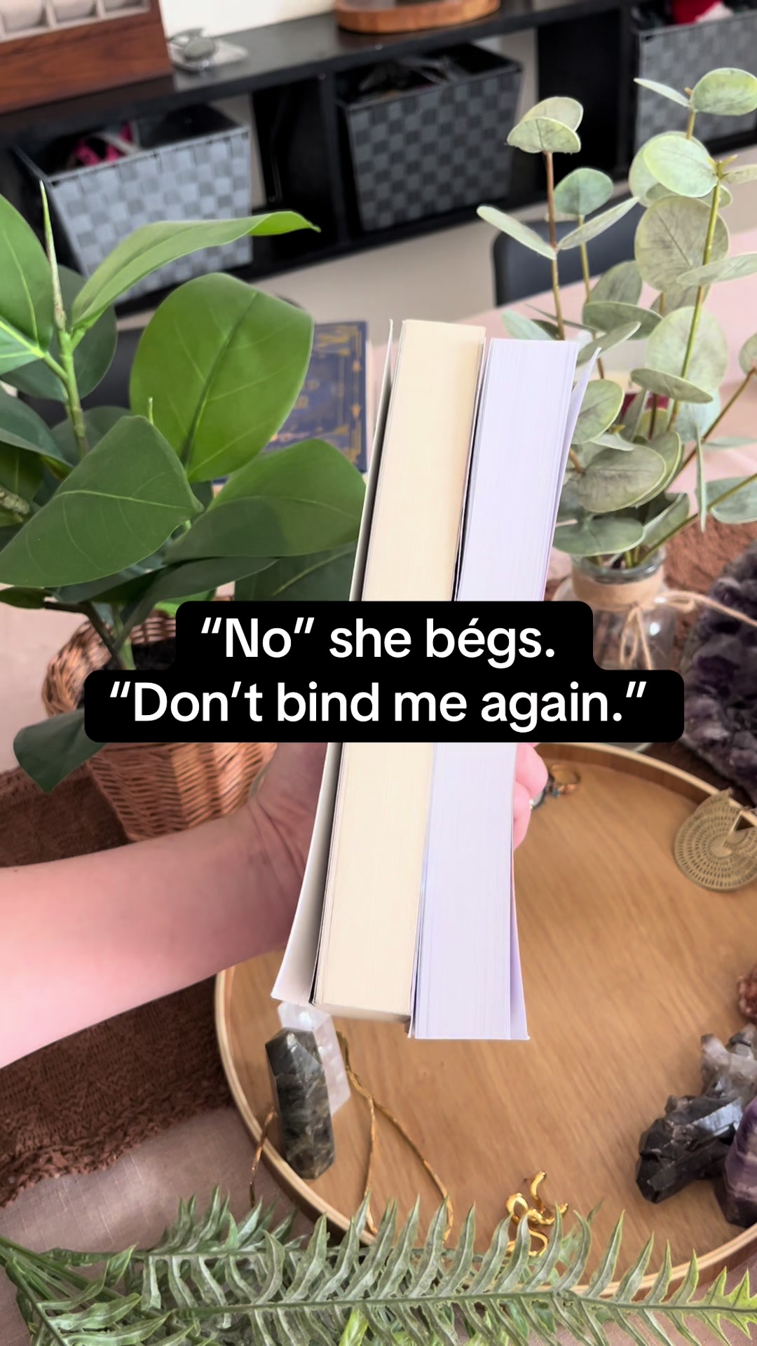 @Daniela A. Mera Books