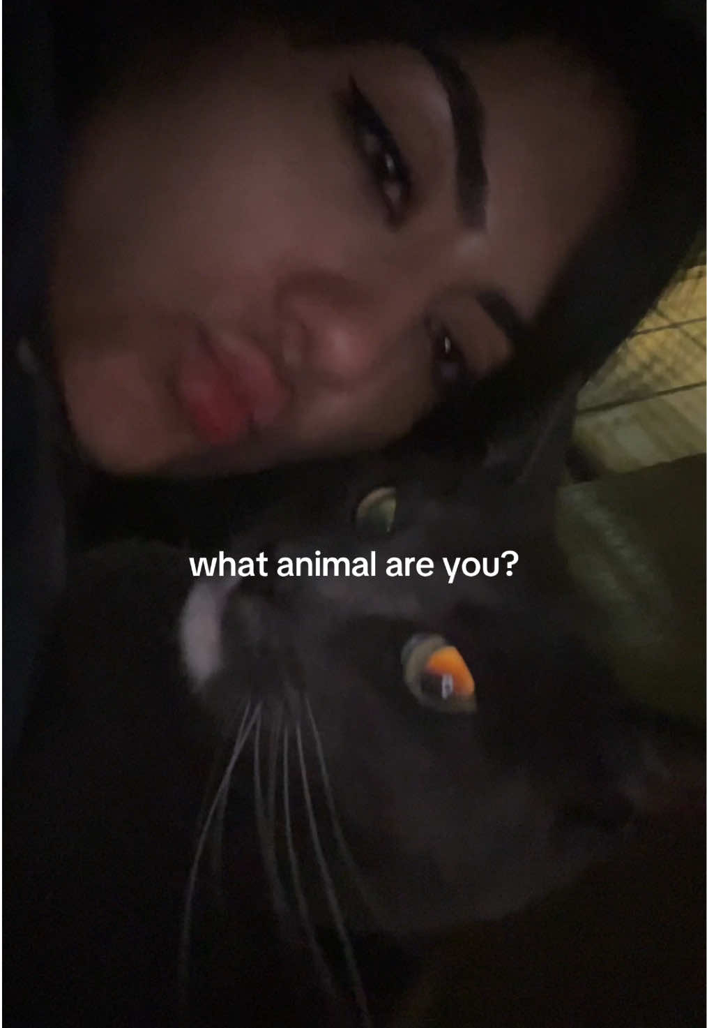 @adorableviolence