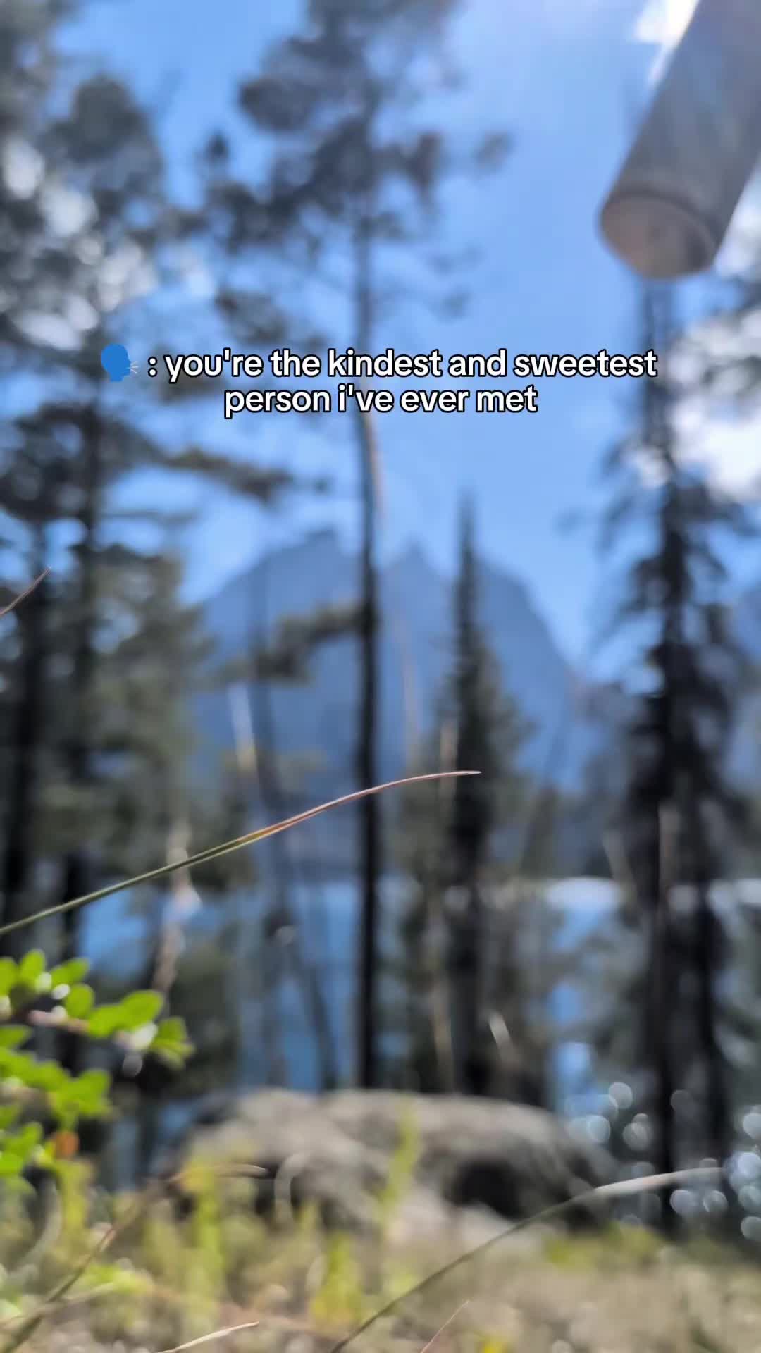 @🏕️Wandering Wildflower🏵️