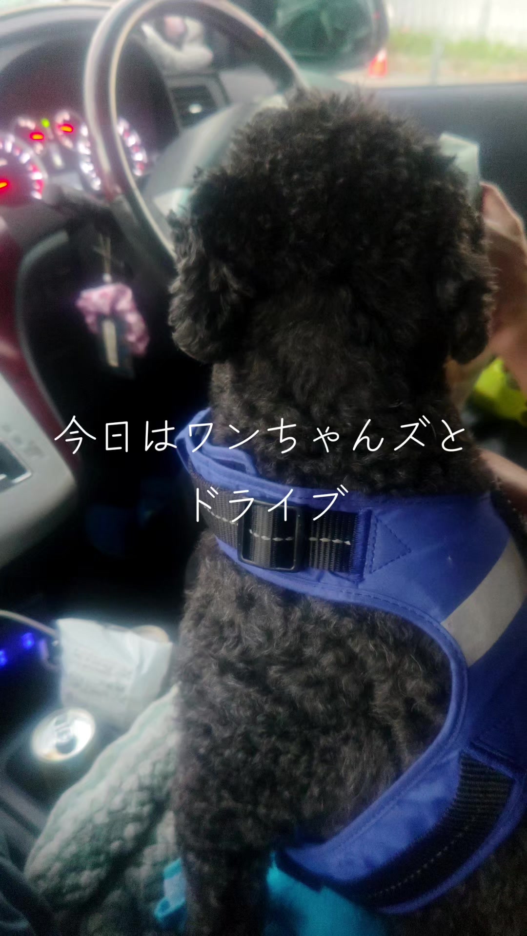 @マジカルな🙄ずんだひろし??