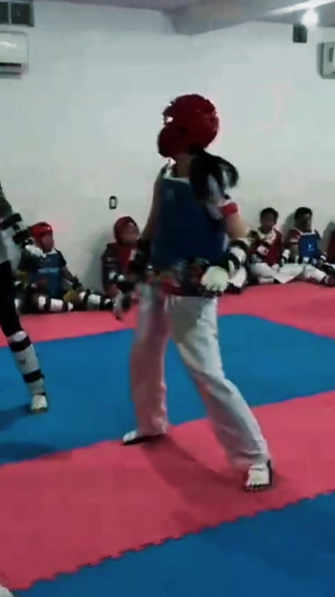 @taekwondolionsteam
