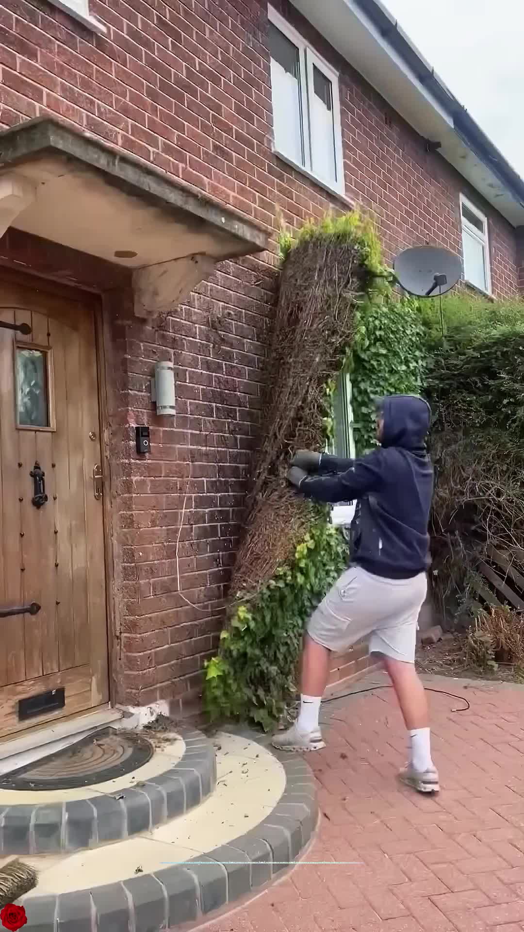 @Alex