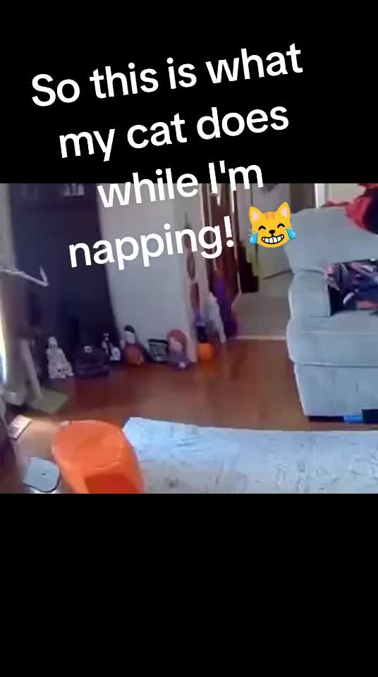 @HalloweenisMine1989