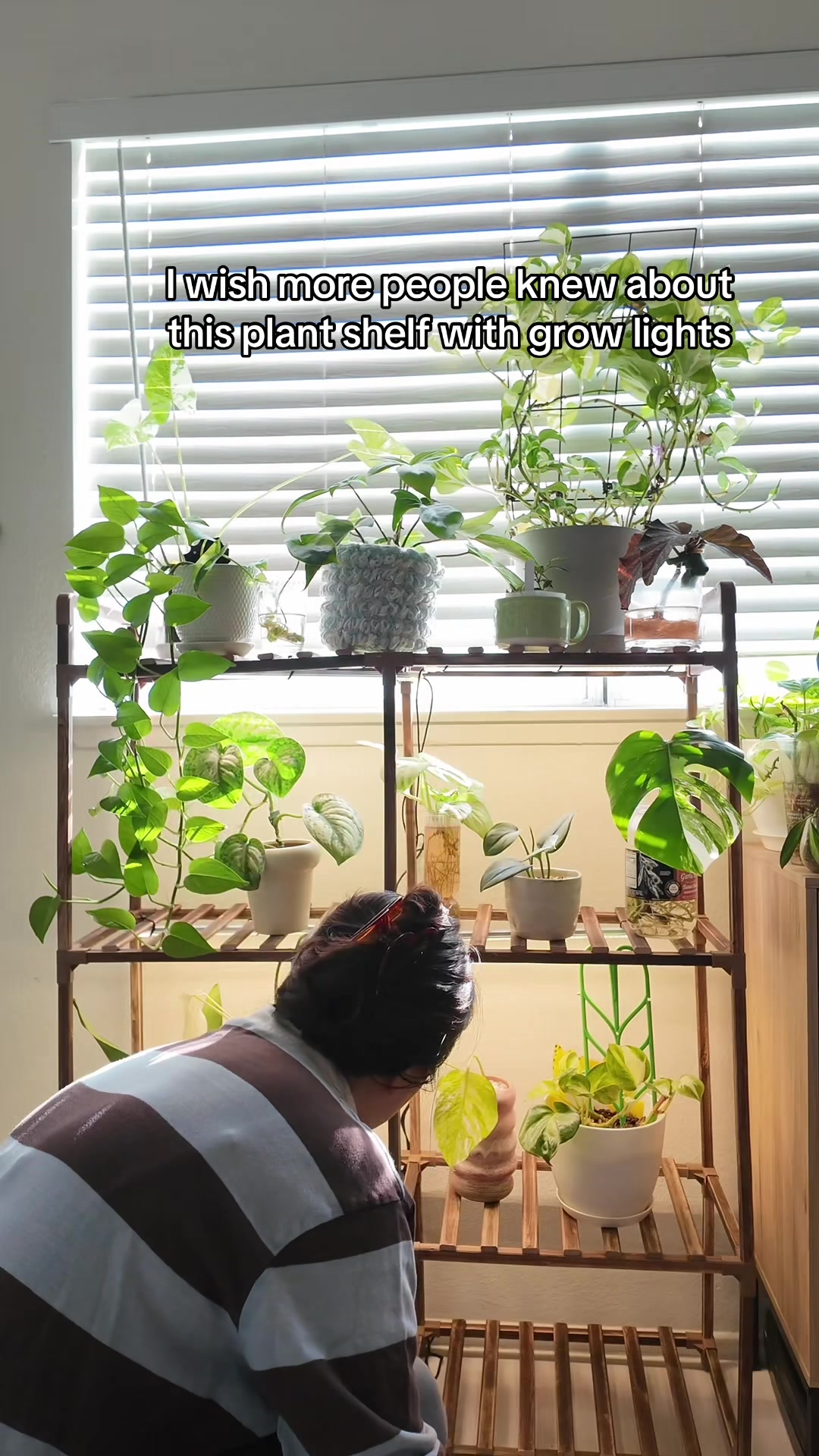 @Erin | Plants + Lifestyle