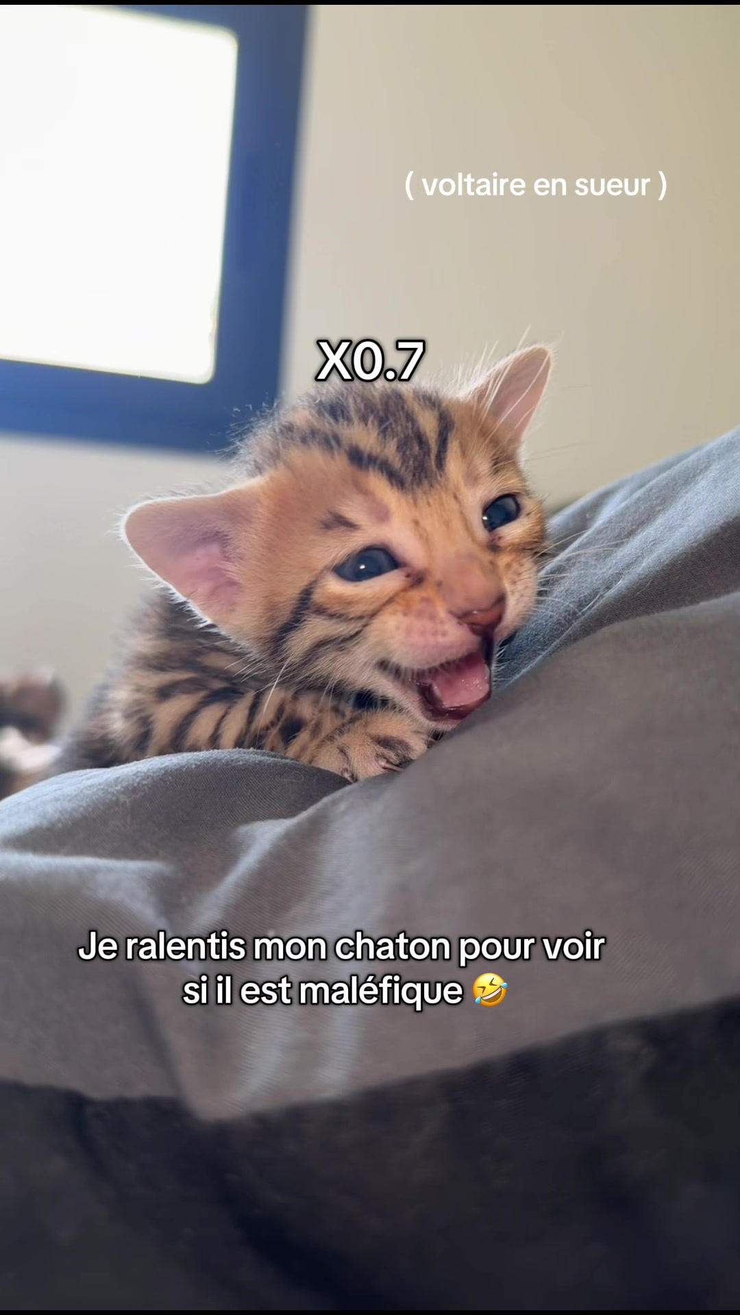 @voltaireleroi