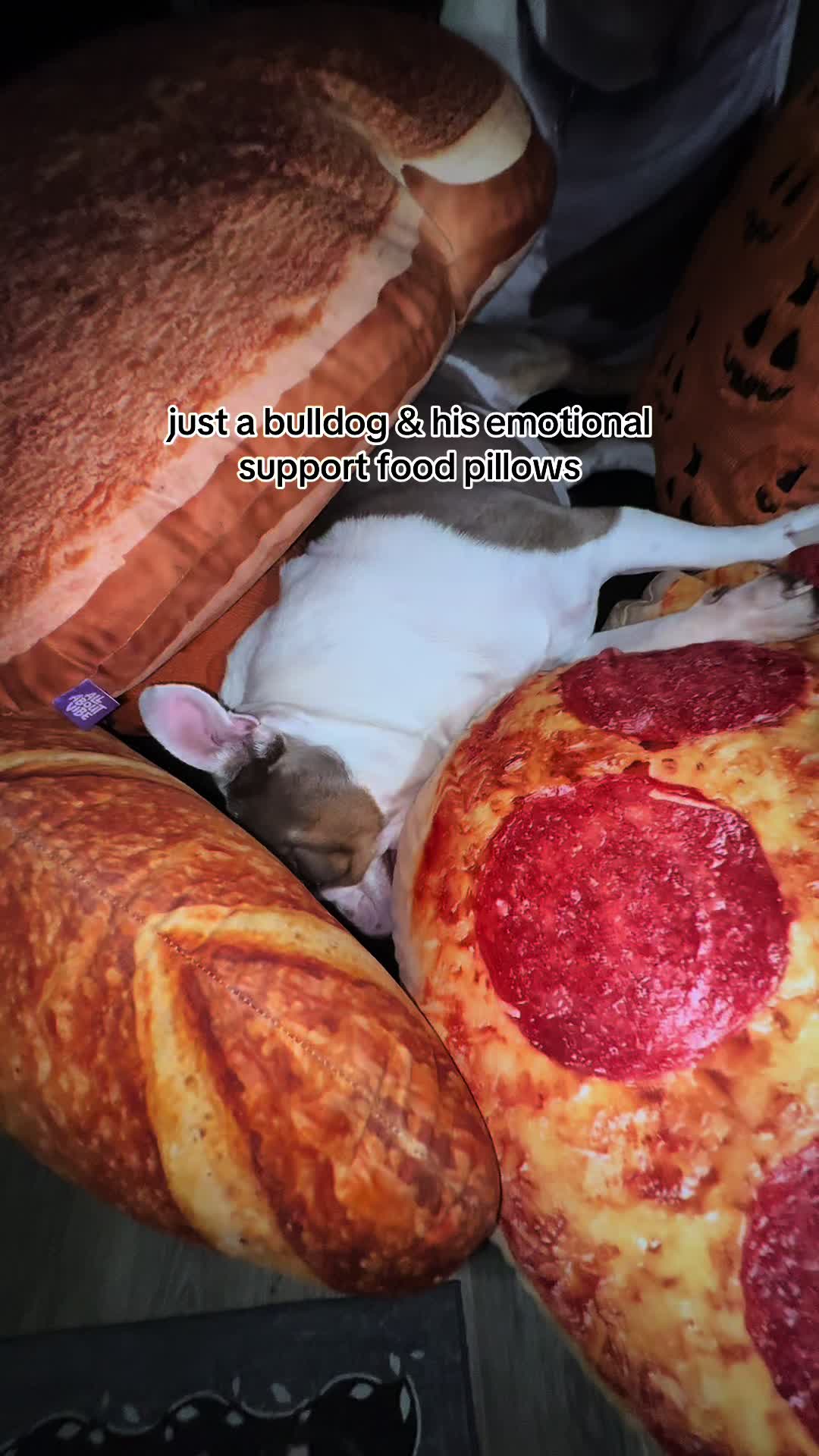 @kai•thedogmother🐾