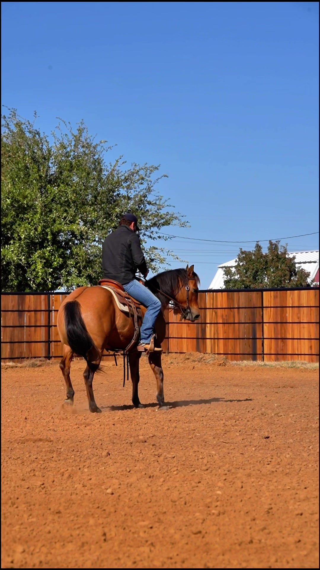 @WS Horses