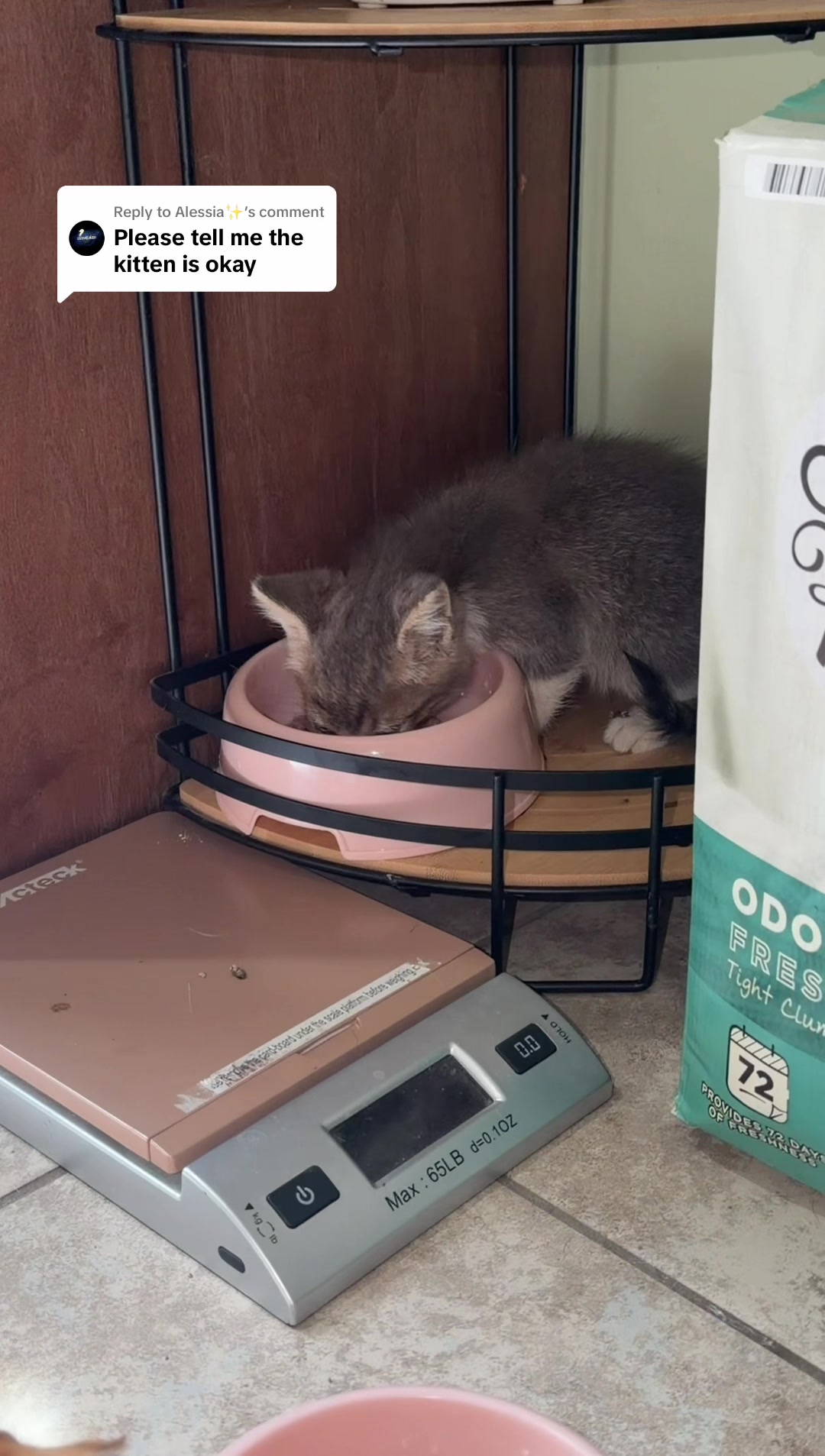 @Happy Tails Animal Rescue