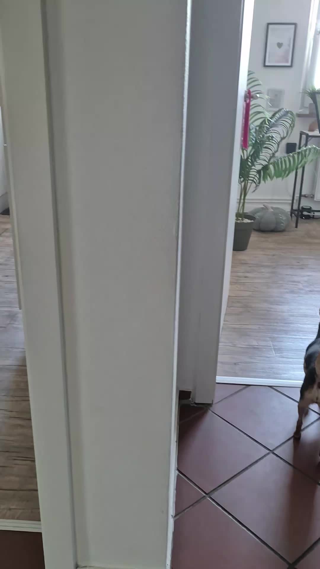 @SabrinaTeamWuffhaus🐕