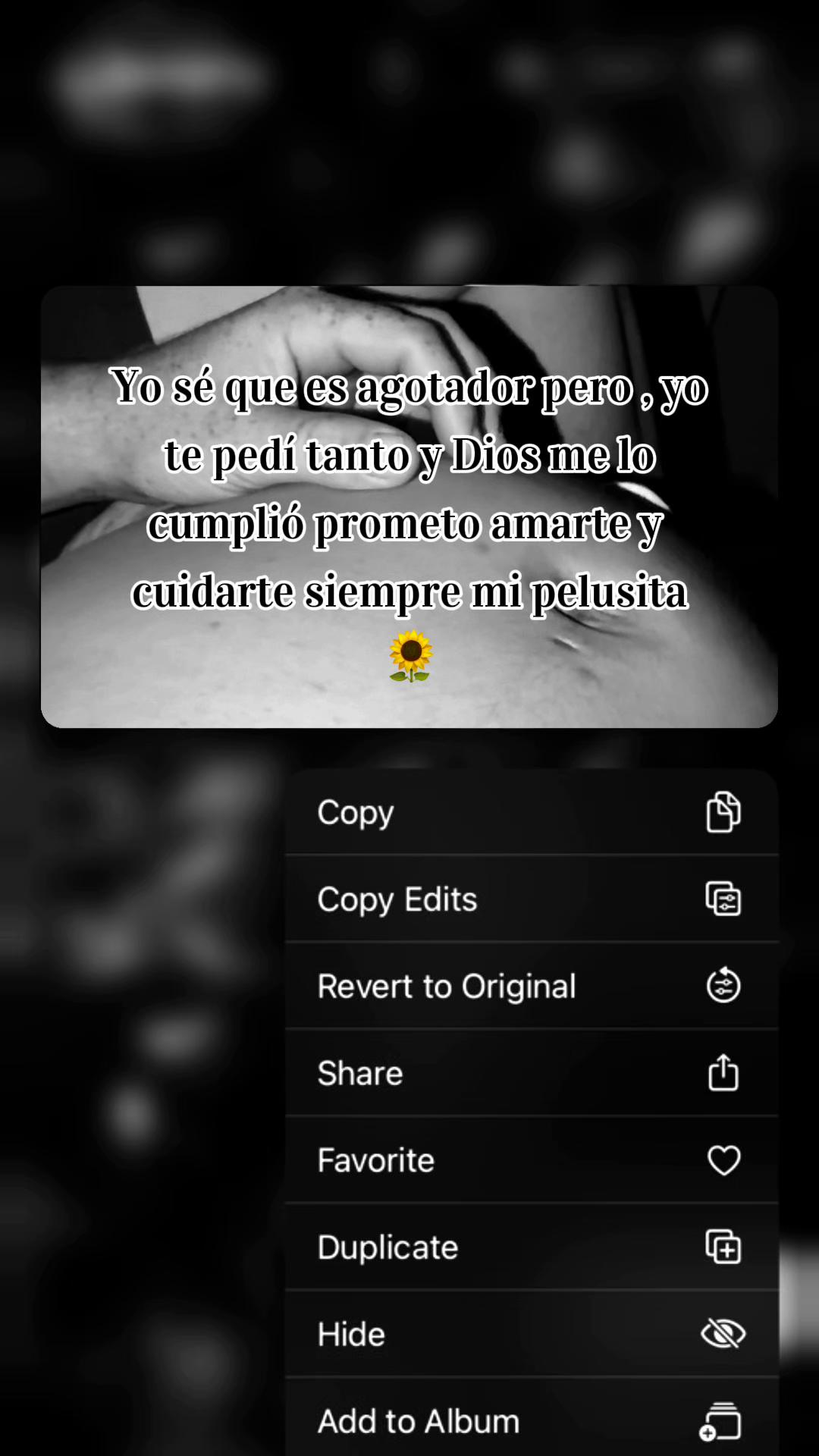 @d_reytor