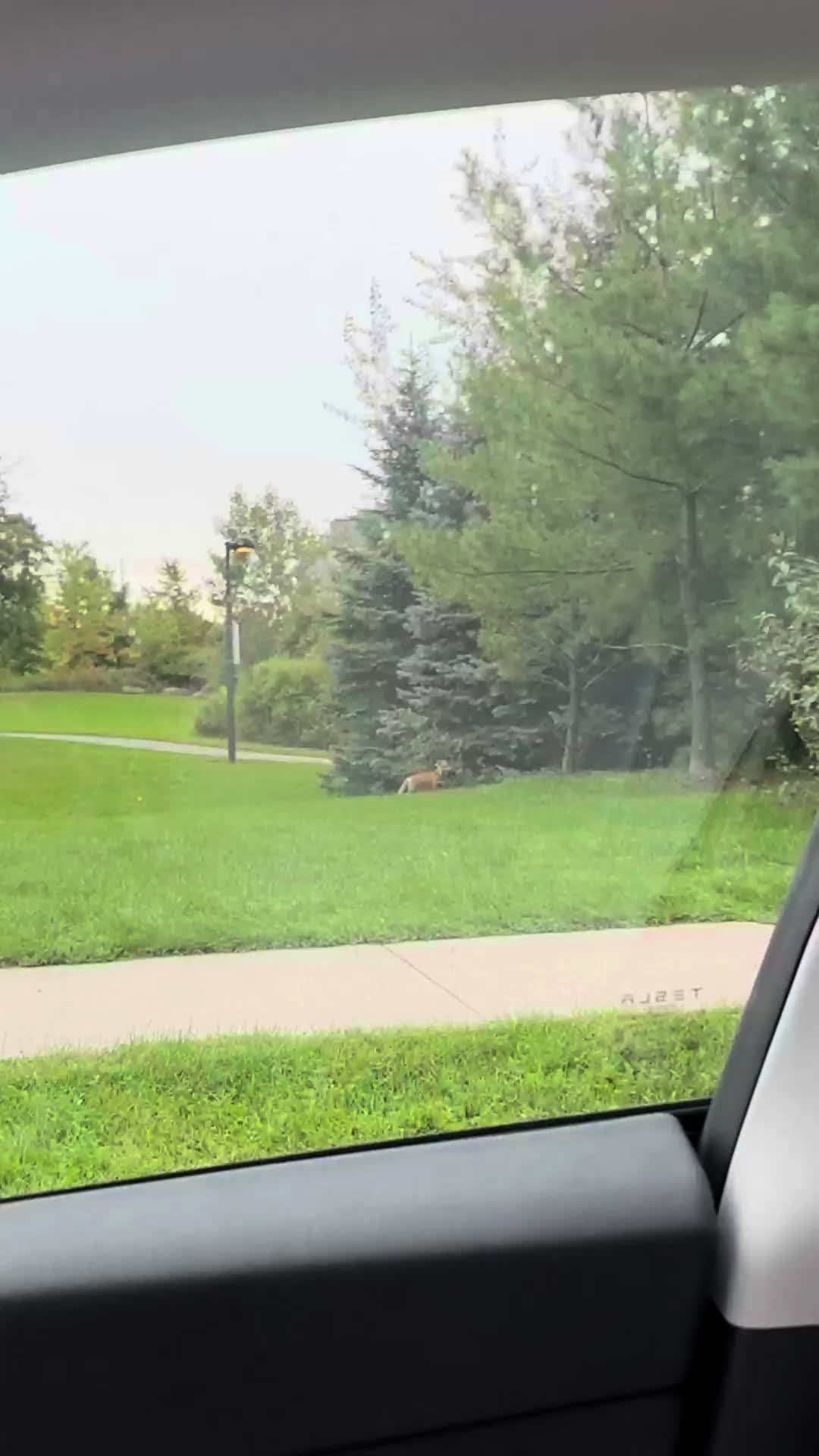 @insauga