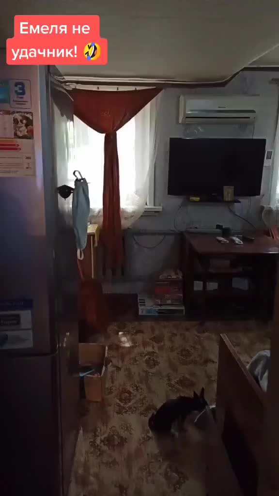 @kostikfantazer_5335