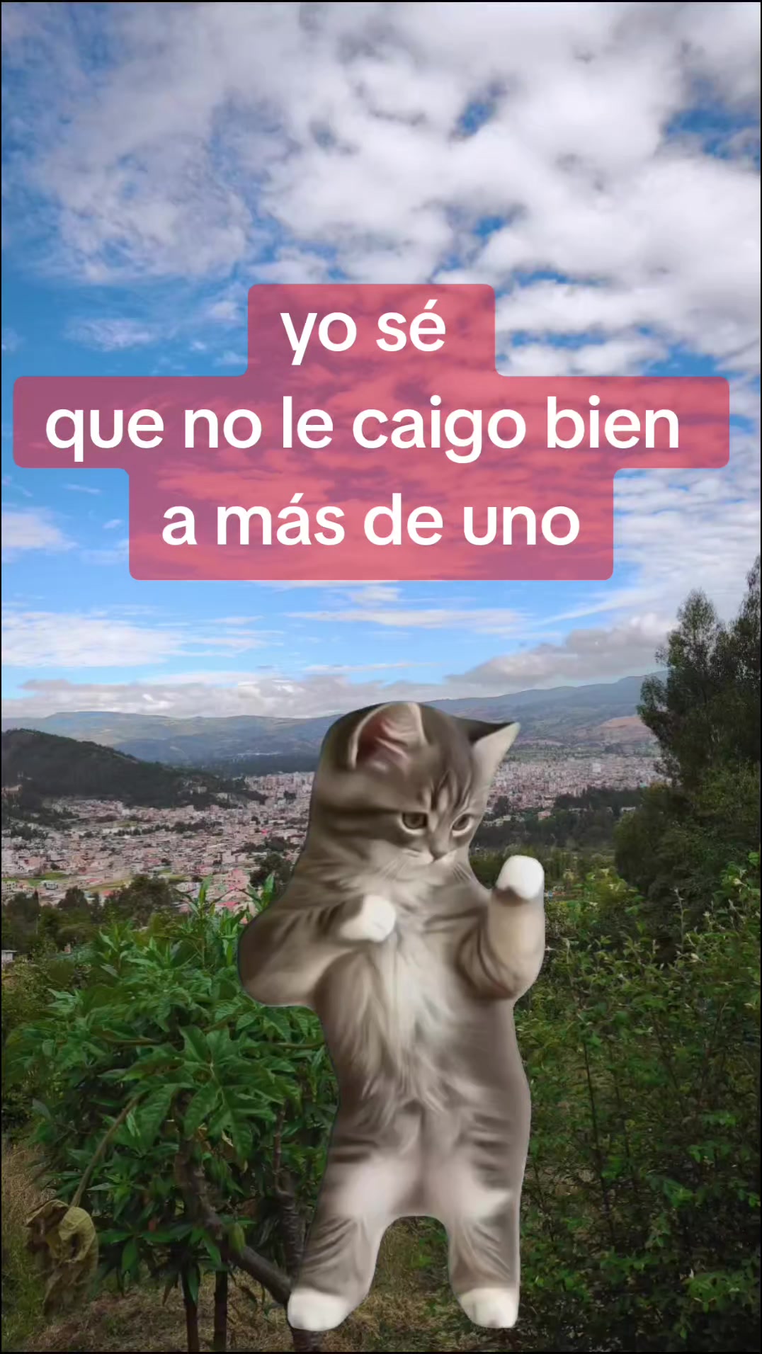 @Aleja  Ruiz