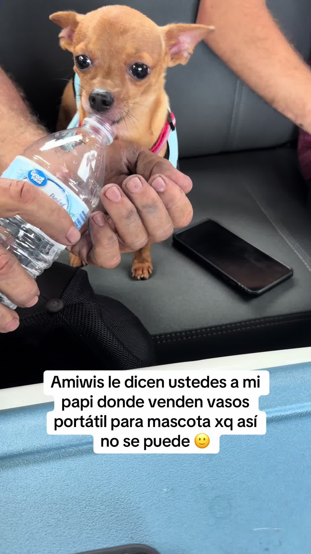 @Gloria Hernandez