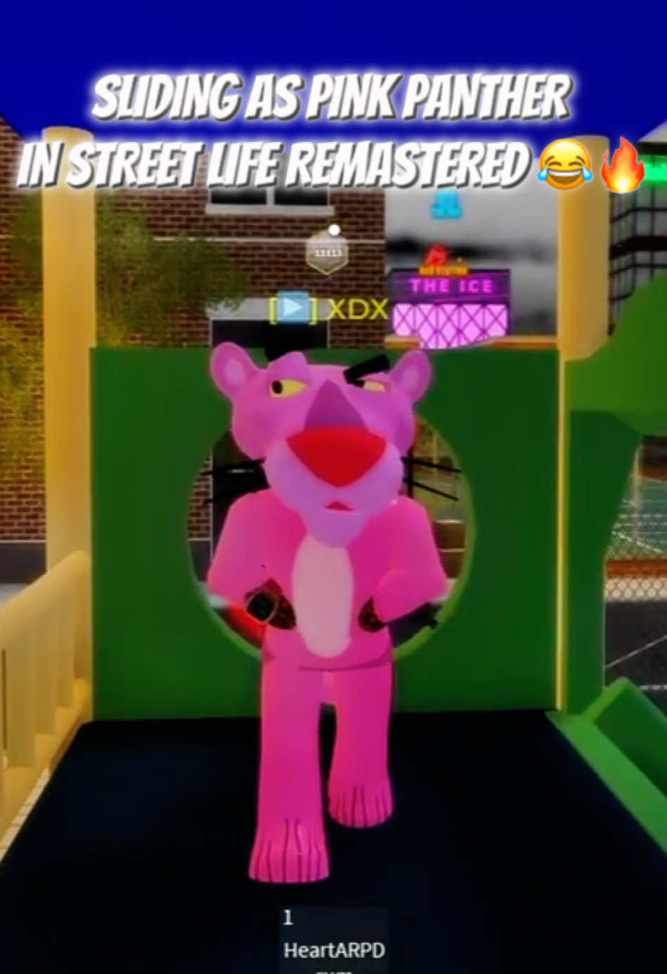 @XDX🦈🤧