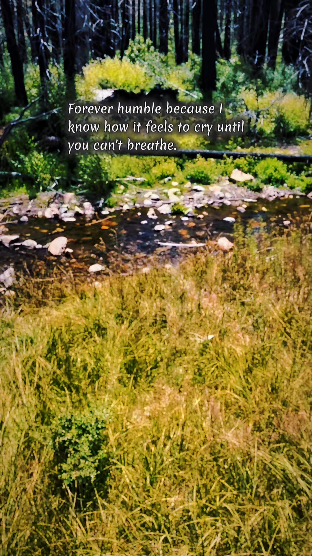 @ᴄʜᴀꜱɪɴɢ🥾ꜱɪᴇʀʀᴀ🥾ᴡᴀᴛᴇʀꜰᴀʟʟꜱ🏞️