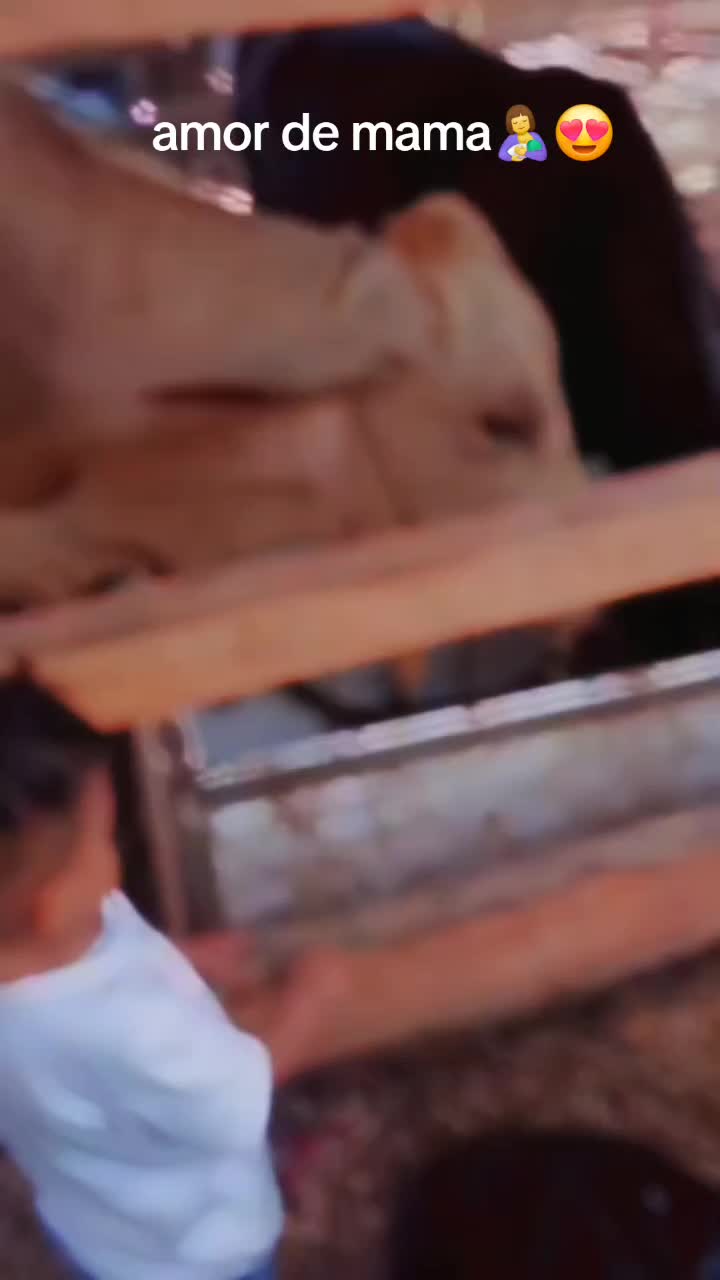 @Paola Turcios
