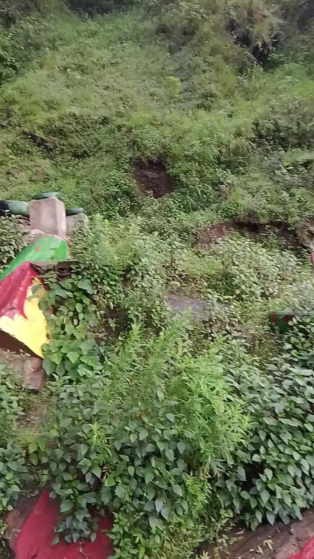 @Rajesh Kurmi