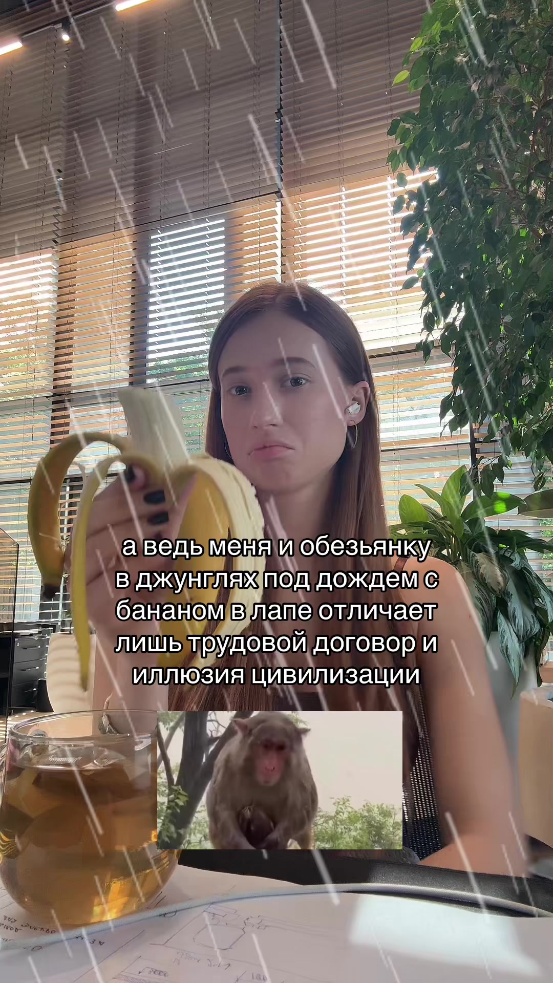 @arishhel