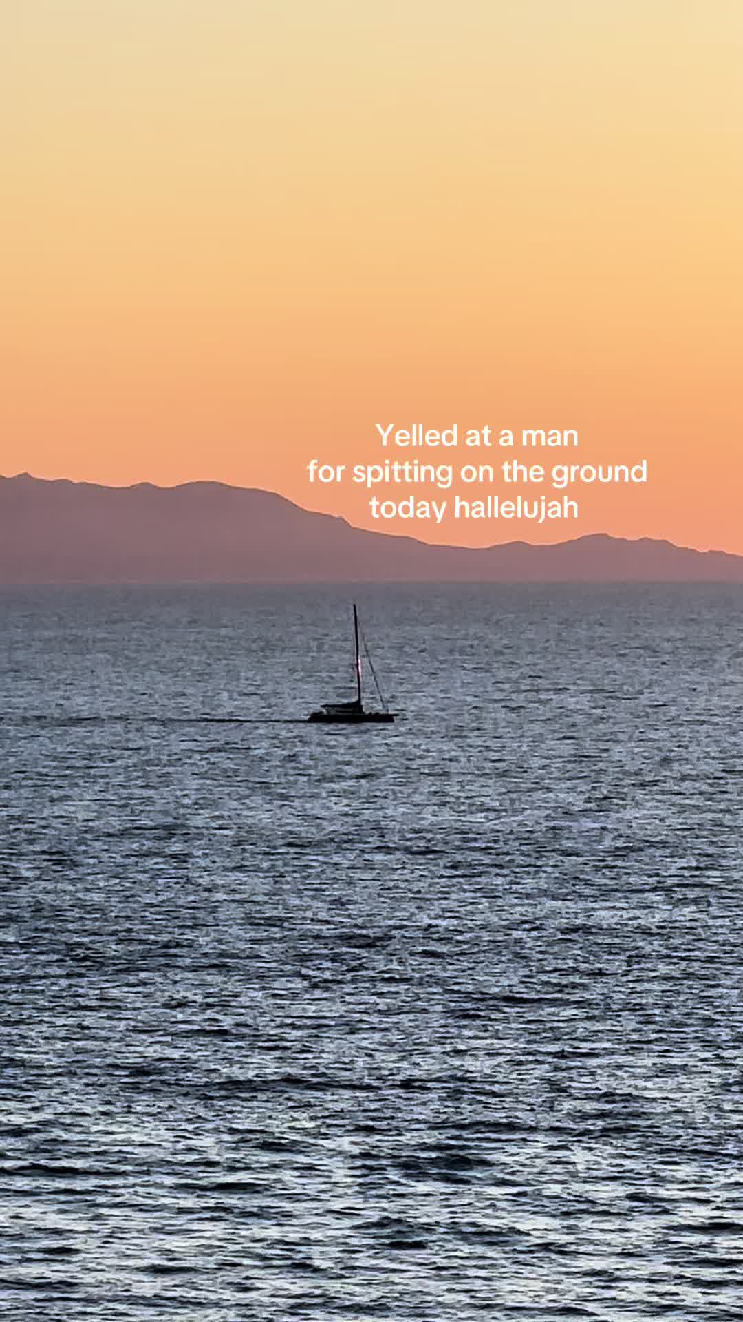 @Ally Melideo