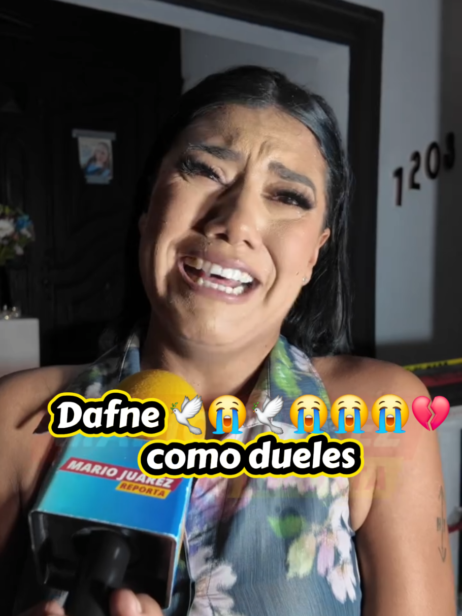 @todos Somos Dafne