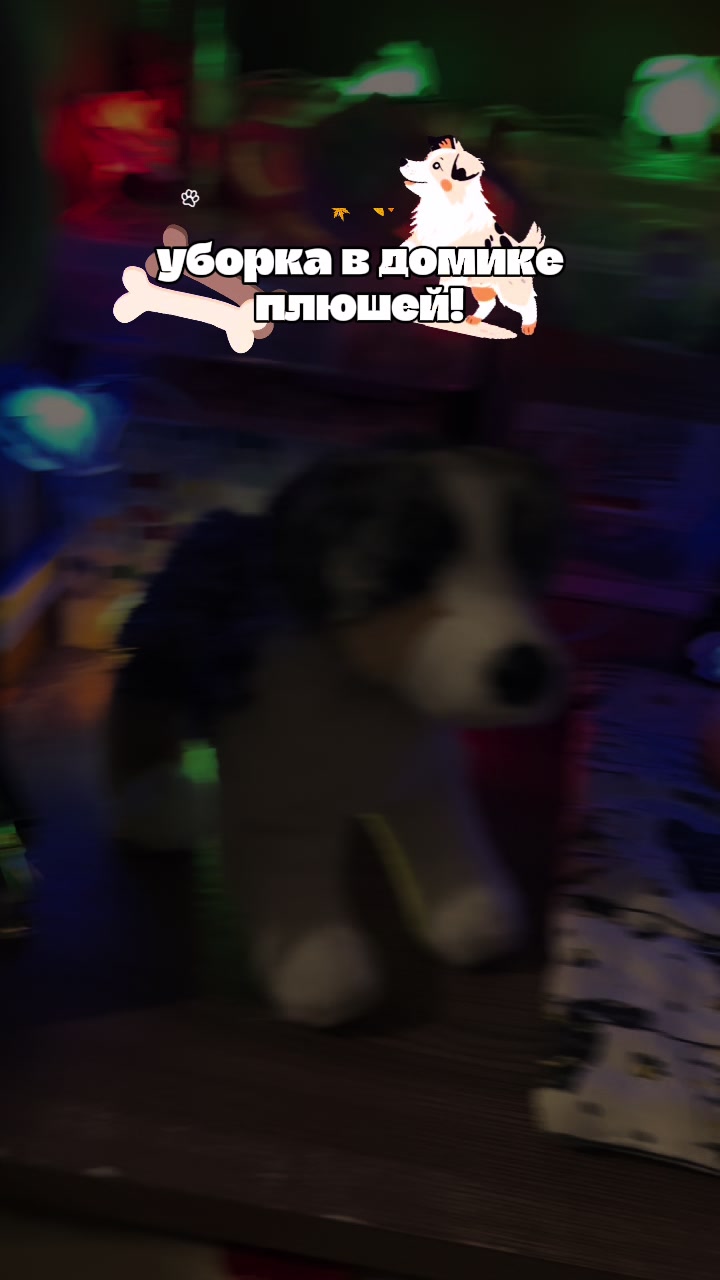 @♯🐾.ᴍᴇʏsʜɪ✧˚