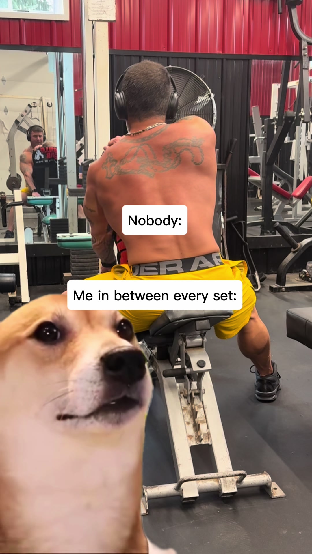 @anabolic_aholic