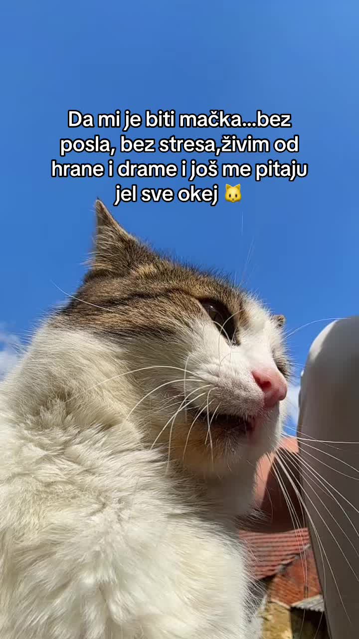 @Marko Komljenović