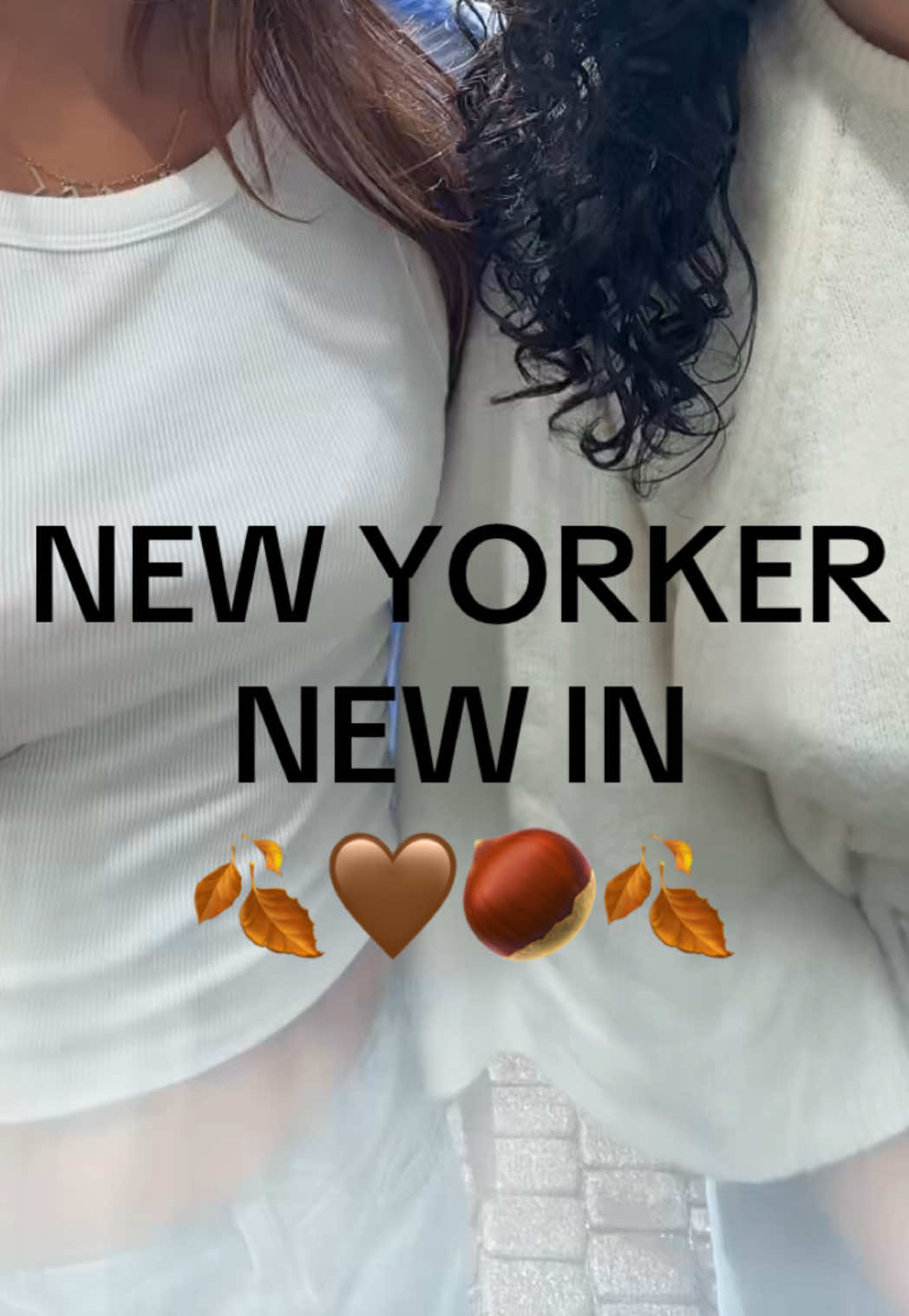 @𝐌 𝐈 𝐍 𝐄 𝐋