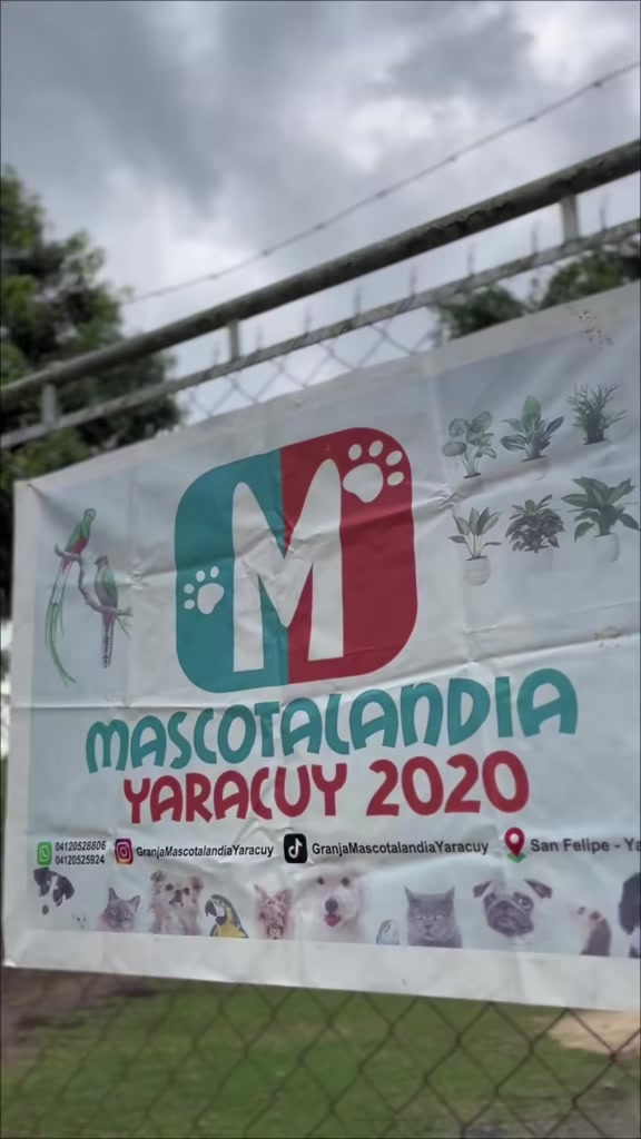 @Granjamascotalandiayaracuy