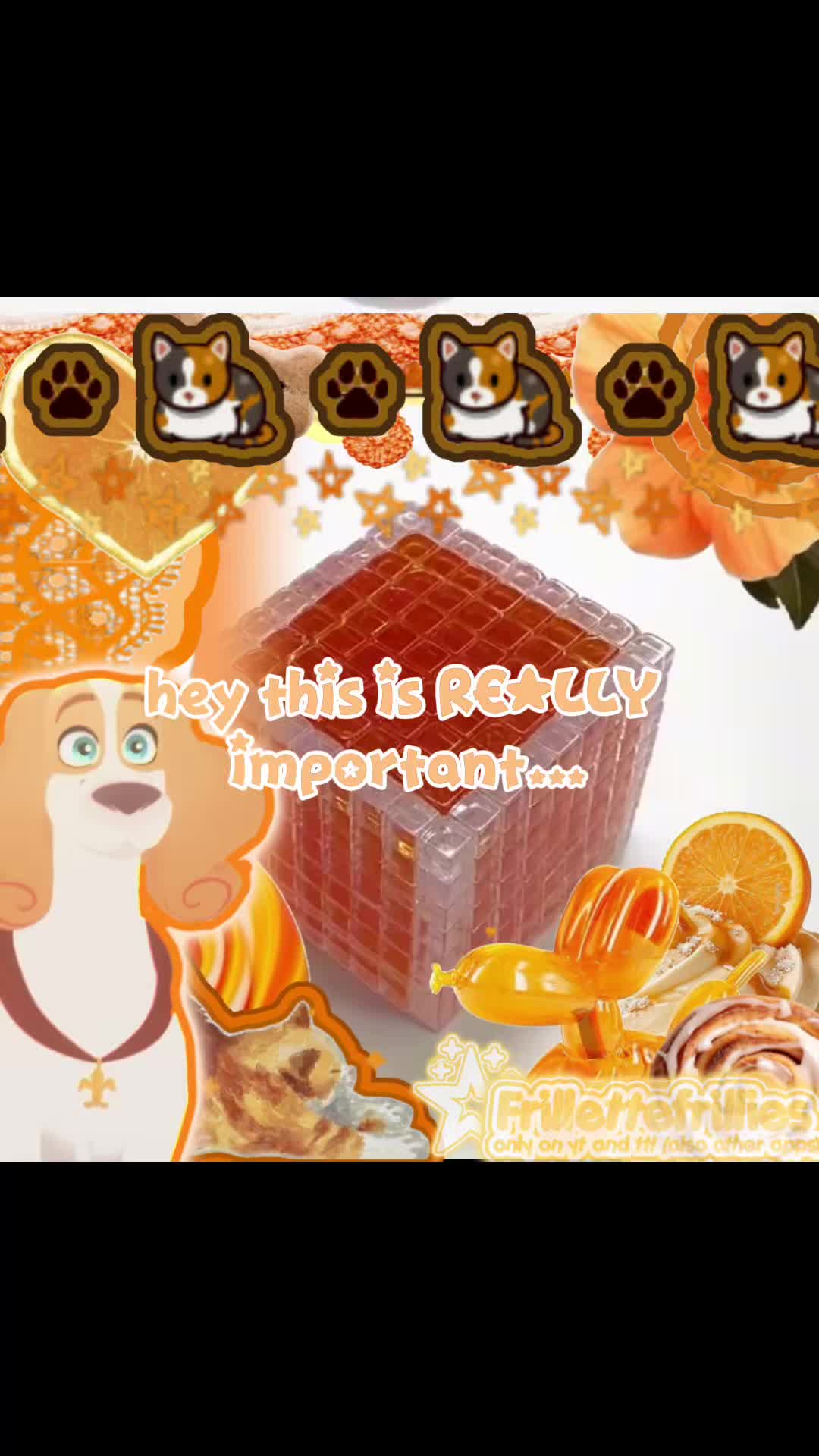 @🐱🐈~𝓚𝓲𝓽~🐈🐱