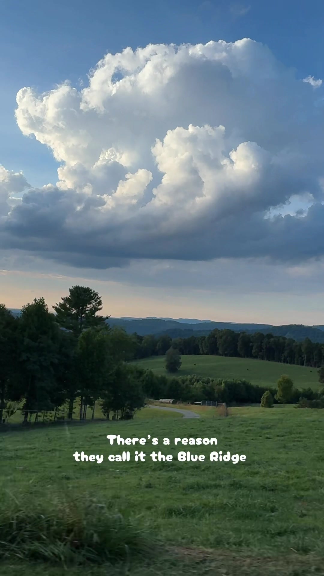 @Andrea | Appalachian Livin’